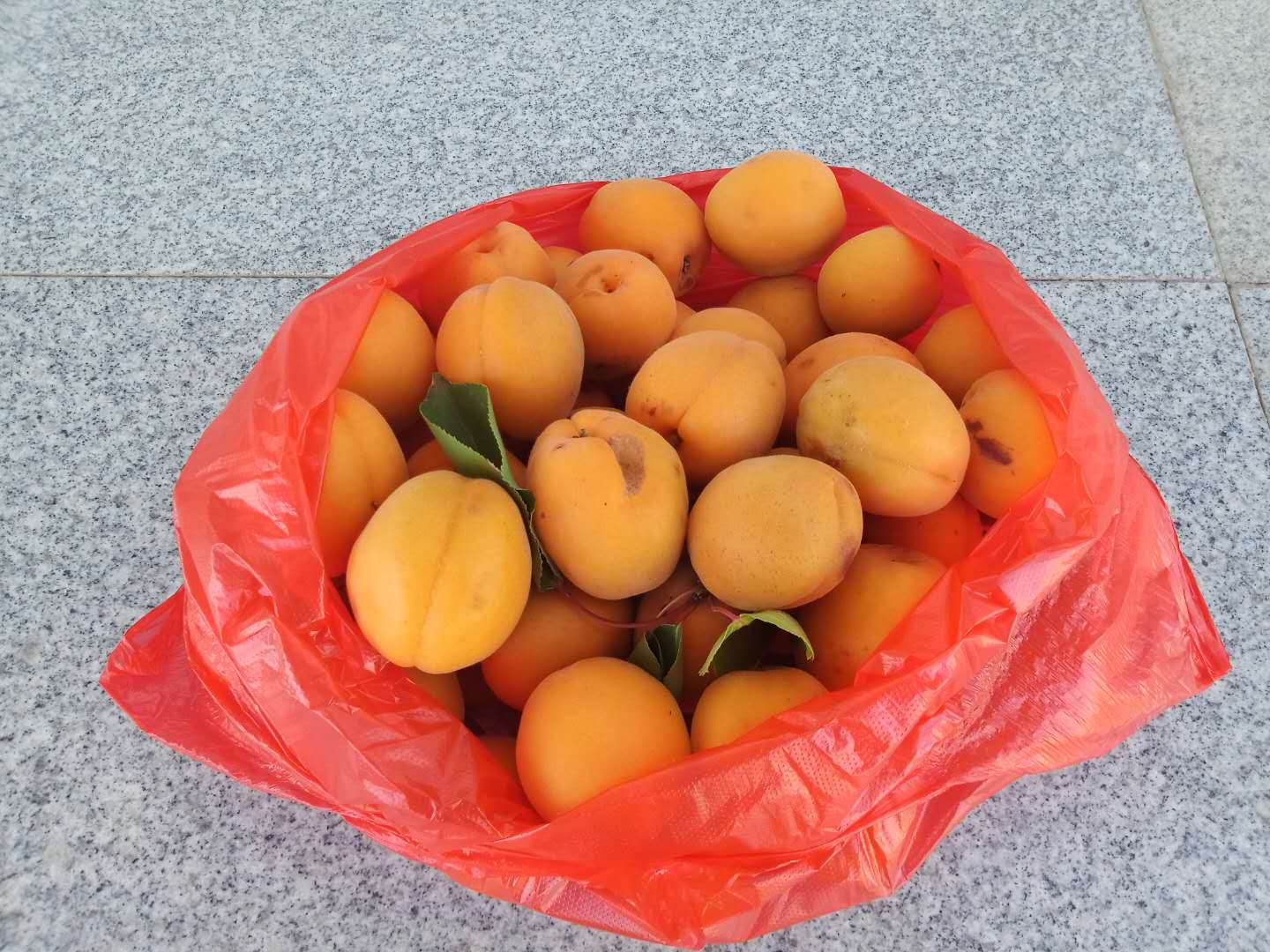 打包杏果 打包杏果